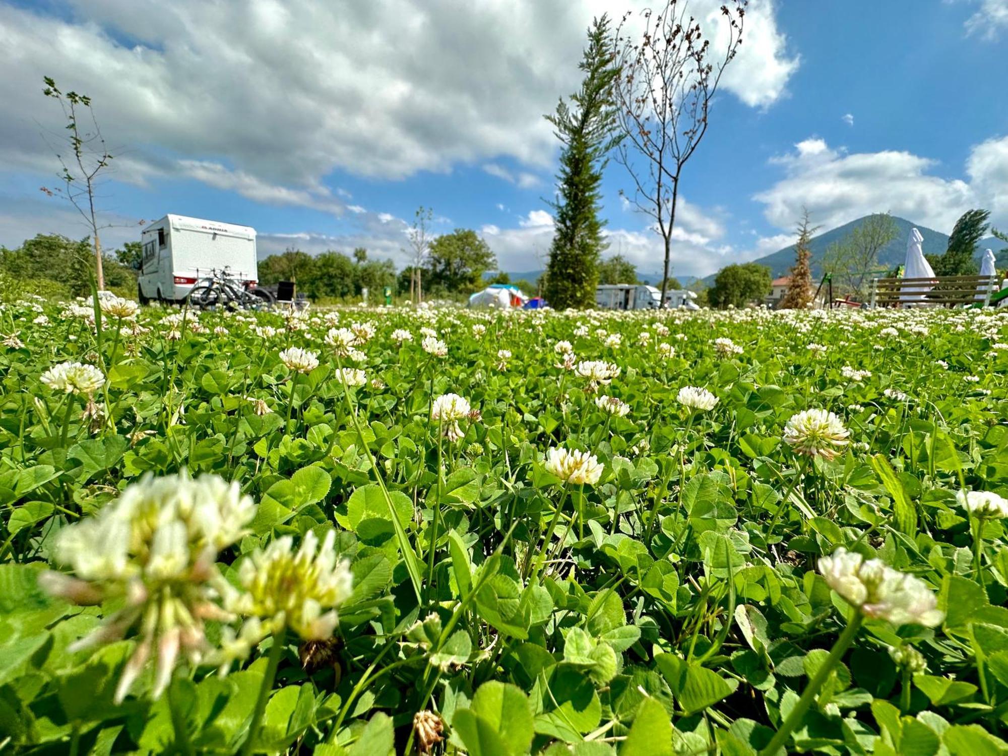 7 Lakes Camping Sapareva Banya Buitenkant foto